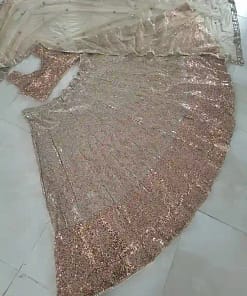 Butterfly Soft Net Designer Lehenga 21 Butterfly Soft Net Designer Lehenga - Image 11