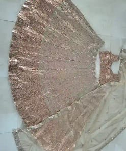 Butterfly Soft Net Designer Lehenga 15 Butterfly Soft Net Designer Lehenga - Image 5
