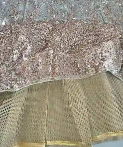 Butterfly Soft Net Designer Lehenga 17 Butterfly Soft Net Designer Lehenga - Image 7