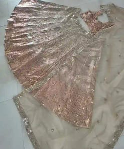 Butterfly Soft Net Designer Lehenga 19 Butterfly Soft Net Designer Lehenga - Image 9