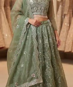 Fully Stitched Fendy Silk Designer Lehenga 14 Fully Stitched Fendy Silk Designer Lehenga - Image 3