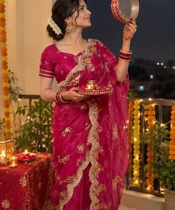 Ready-to-Wear Net Embroidered Saree 13 Ready-to-Wear Net Embroidered Saree5