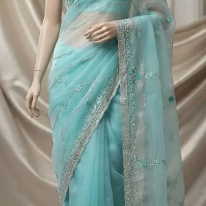 Sky Blue Sheer organza Saree