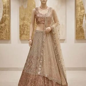 Premium Butterfly Soft Net Designer Lehenga - Image 3