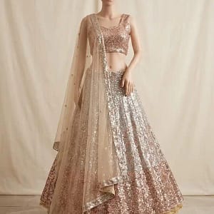 Premium Butterfly Soft Net Designer Lehenga - Image 6