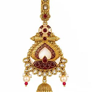 Traditional Gold-Tone Saree Chhalla with Pearl & Stone Detailing - Image 7